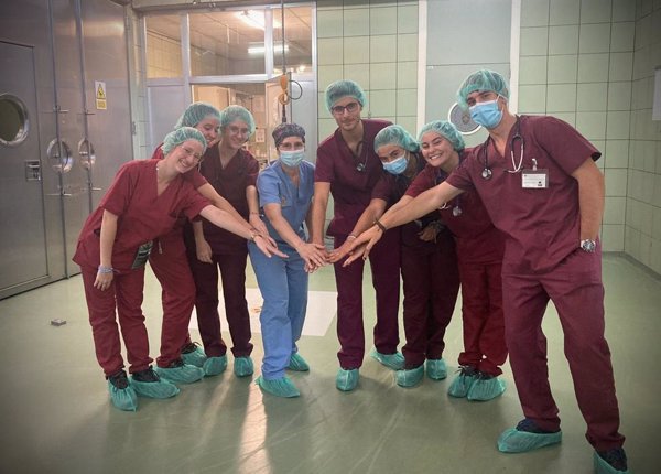 Veterinarios de la Universidad Complutense implantan por primera vez un marcapasos a un caballo