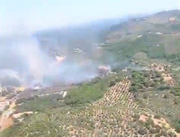 Declarado un incendio en un paraje natural de Constantina, en Sierra Morena (Sevilla)