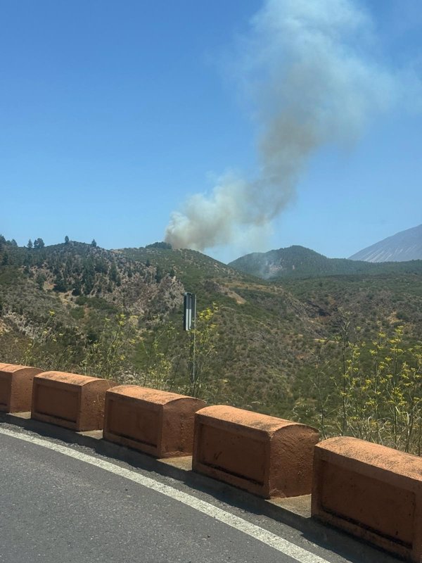 Ocho medios áreos y efectivos terrestres trabajan en extinguir el conato de incendio en El Tanque (Tenerife)