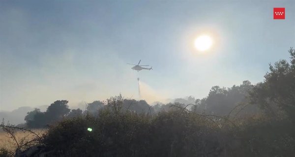 Estabilizado el incendio forestal en Zarzalejo (Madrid), que baja a situación operativa 0