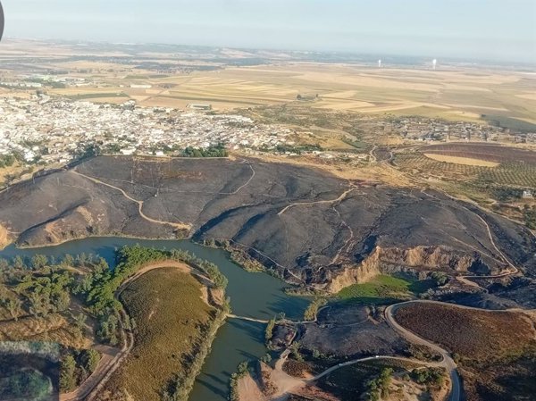 El Infoca controla los incendios de Aznalcóllar y Constantina (Sevilla) y trabaja en su liquidación