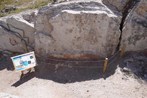 Desarrollan diversas acciones paleontológicas en cuatro yacimientos con huellas de dinosaurios en Teruel