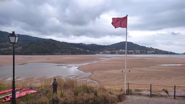 Aviso por medusas en las playas La Arena, Ereaga, Gorrondatxe, Barinatxe, Arriatera-Atxabiribil, Bakio y Laga (Vizcaya)