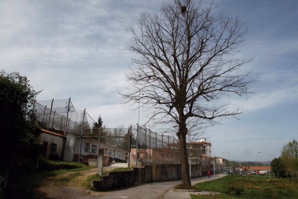 Gobierno asturiano exige a la empresa de vigilancia del centro de Sograndio que garantice la seguridad de trabajadores