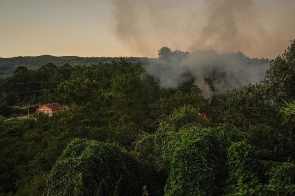 Estabilizado el incendio de Carballeda de Avia (Ourense), mientras siguen controlados los de Meaño y Salvaterra