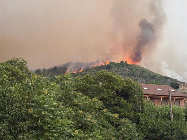 Junta CyL advierte de que los últimos incendios en la provincia de Ávila presentan 