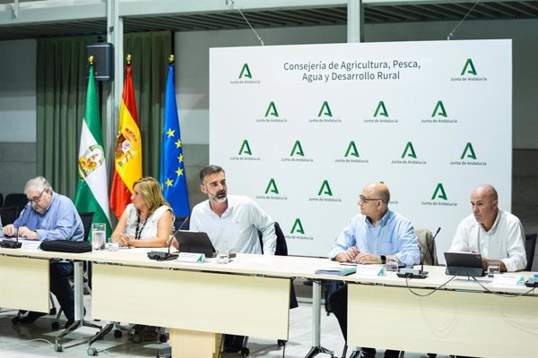 Andalucía reclama al Gobierno que 