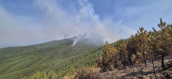 Sucesos.Los efectivos trabajan en controlar varios flancos del incendio en Las Hurdes (Cáceres) con el foco en Avellanar