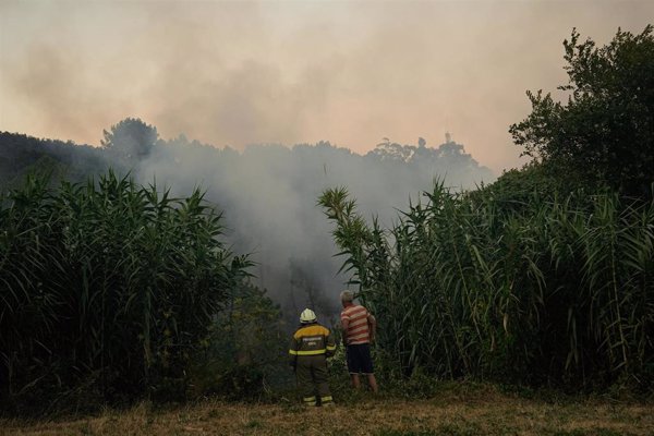 Estabilizado el incendio forestal de Carballeda de Avia (Ourense), mientras sigue activo Arbo (Pontevedra)