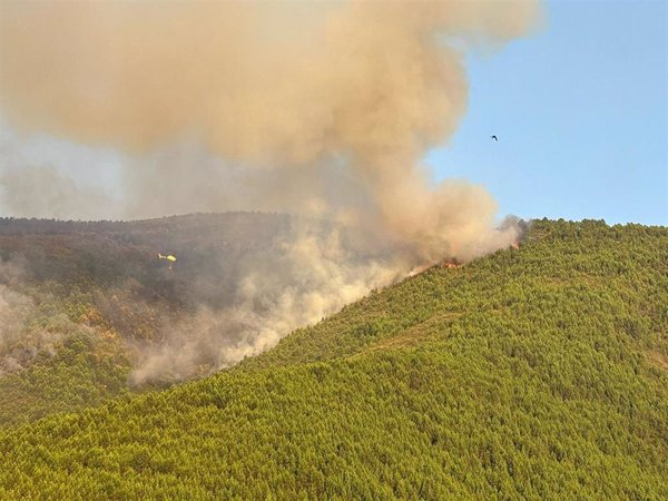 Efectivos del incendio en Las Hurdes (Cáceres) se centran en Avellanar, tras consolidar el 70% del perímetro