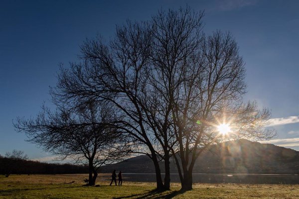 El aumento de la energía solar podría conducir a reducciones significativas en las emisiones de CO2