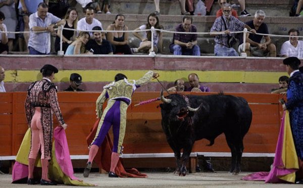 La Fundación Franz Weber advierte que trasladará a la ONU el acceso de menores a la corrida de toros de Inca (Mallorca)