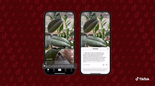 TikTok lanza el programa piloto de Notas al pie en Estados Unidos para contextualizar el contenido en la red social