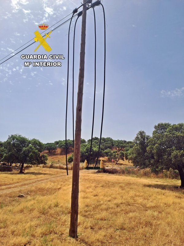 Cae un grupo acusado del robo de ganado y 8.400 metros de cable de líneas telefónicas en Mérida