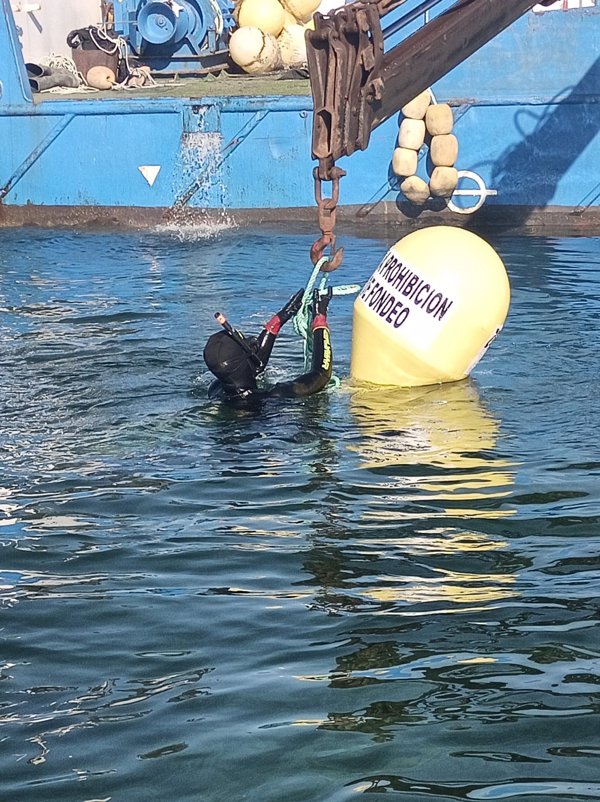 El Gobierno de Murcia amplía el balizamiento del Mar Menor para proteger la nacra