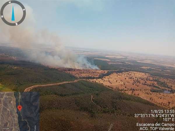 Declarado un incendio en el paraje Los Carneros de Escacena del Campo (Huelva)