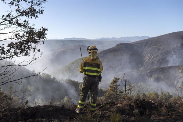 El fuego del sur de Ávila, Las Hurdes (Cáceres) y A Cañiza (Galicia) evolucionan favorablemente tras quemar 5.340 ha
