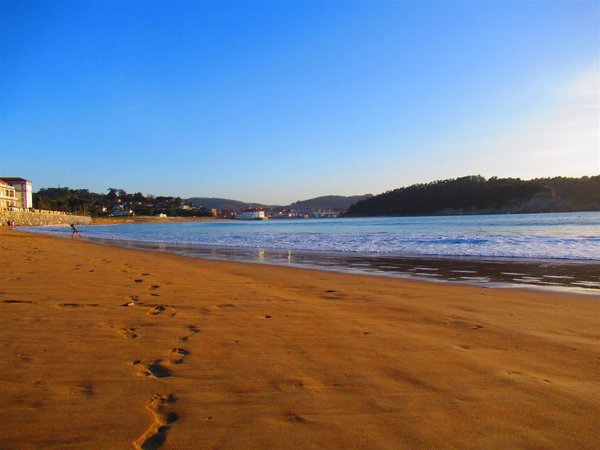 Detectan medusas en las playas vizcaínas de La Arena, Azkorri, Arriatera-Atxabiribil, Gorliz, Aritzatxu, Laida y Laga