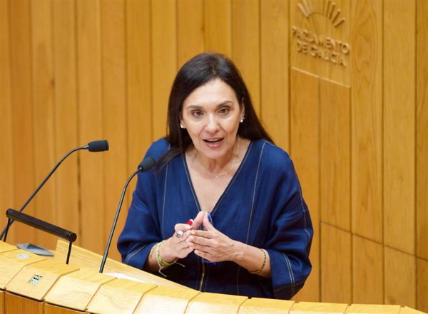 El PSdeG critica que 