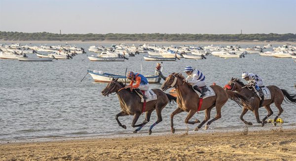Sanlúcar celebra la 180 edición de sus Carreras de Caballos en la playa con más de 60 caballos y 25 pruebas