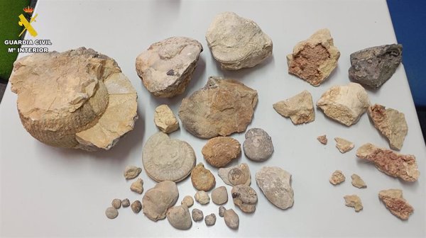 La Guardia Civil de Teruel interviene en un caso de expolio de patrimonio geológico en Villar del Cobo