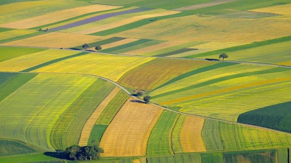 El precio medio de la tierra de cultivo sube un 2,8% en 2024 y alcanza los 10.248 euros por hectárea