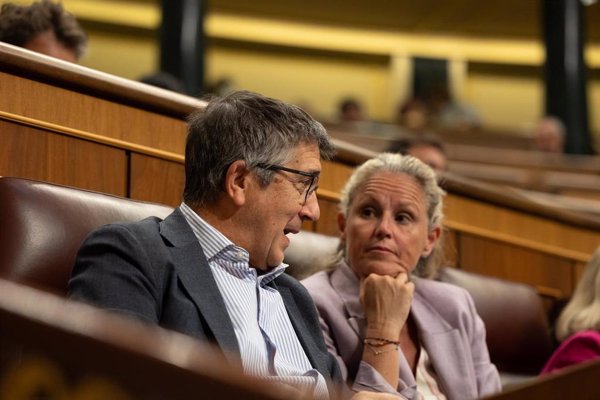 El PSOE propone extender el voto telemático a las administraciones locales igual que el Congreso y el Senado