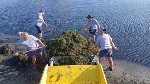 Murcia retira más de 4.200 toneladas de biomasa del litoral del Mar Menor desde enero