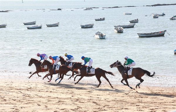 Las Carreras de Caballos de Sanlúcar (Cádiz) inician este martes su primer ciclo con la participación de 31 pura sangre