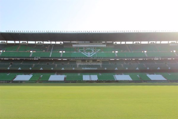 El Real Betis activa un plan para proteger a los vencejos que anidan en el estadio de cara a la demolición