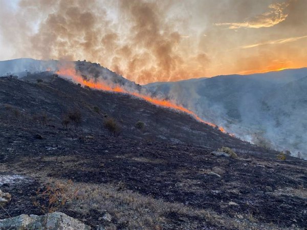 El incendio forestal de Valdeperillo (La Rioja) pasa a situación de controlado