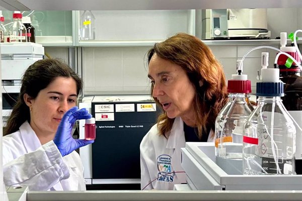 Desarrollan una kombucha a partir de deshechos del vino con potencial antiinflamatorio y antioxidante