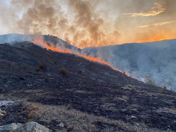 Un incendio forestal en Valdeperillo (La Rioja) deja humo y olor a quemado en la Zaragoza
