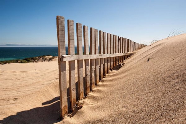 La Junta de Andalucía difunde las recomendaciones del Plan de Dunas para proteger el litoral andaluz este verano