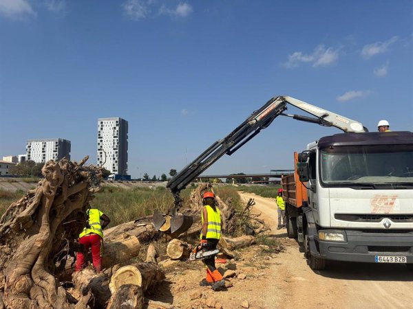 Valencia inicia la limpieza del nuevo cauce del río Túria tras la dana
