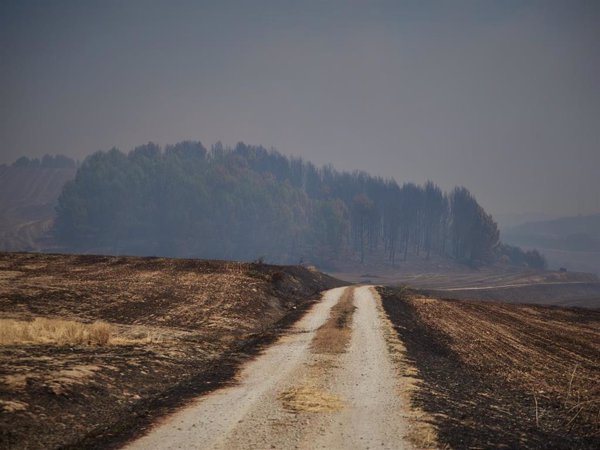 Controlado el incendio declarado ayer en Artajona y el iniciado en Obanos, Muruzábal y Enériz (Navarra)