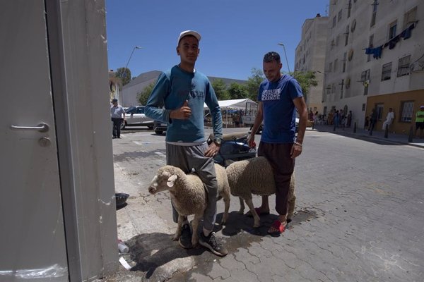 Gobierno condena la prohibición de ritos islámicos en Jumilla y critica la 