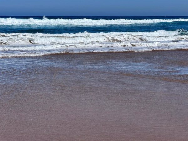 Nueve playas vizcaínas continúan con presencia de medusas este jueves