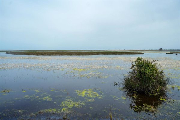 Destinan cuatro millones de euros para acciones de innovación y dinamización en el entorno de Doñana