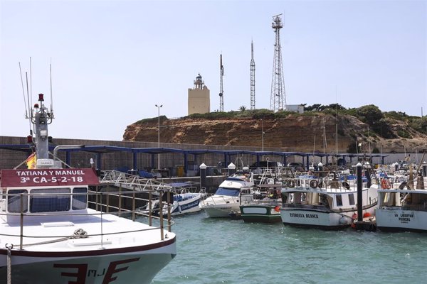 Pescadores artesanales de Conil advierten de una caída del 26% en ventas por el avance del alga invasora