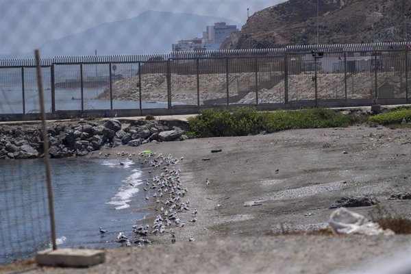 Siete menores acceden a Ceuta a nado entre una fuerte presión migratoria