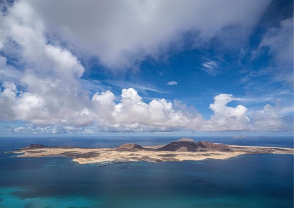 SEO/BirdLife pide al Gobierno canario investigar la liberación de gatos en La Graciosa por ser 