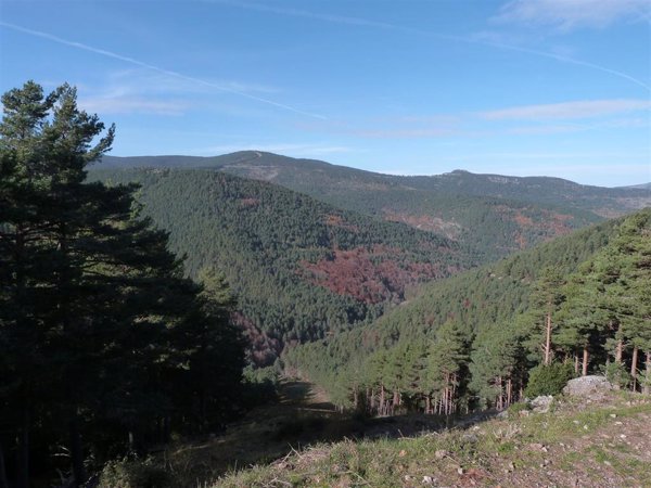 Ecologistas en Acción traslada a Defensor la