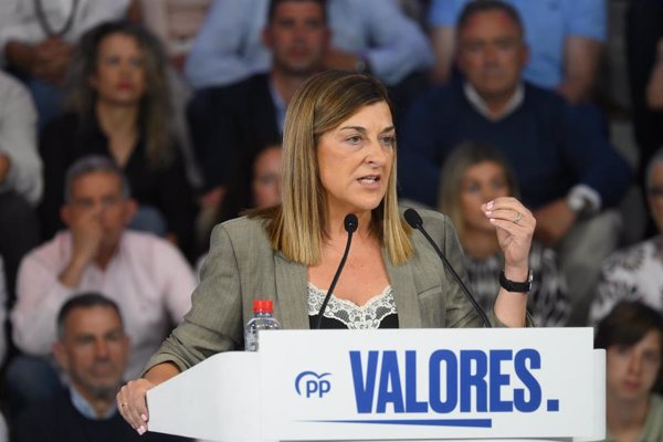 Cantabria pedirá personarse en el recurso del Defensor del Pueblo para 