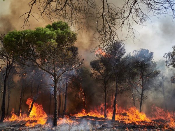 El origen del incendio de Carcastillo(Navarra) fue la 