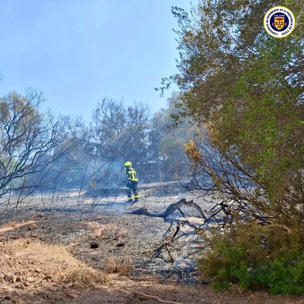 Jerez (Cádiz) mantiene un retén en el incendio de Montecastillo ante altas temperaturas y viento