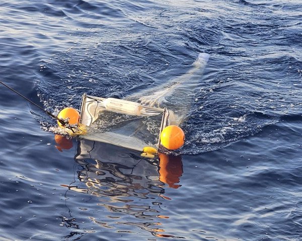 IEO-CSIC completa con éxito la primera campaña 'PlasticFlow' para evaluar la omnipresencia de microplásticos en el mar