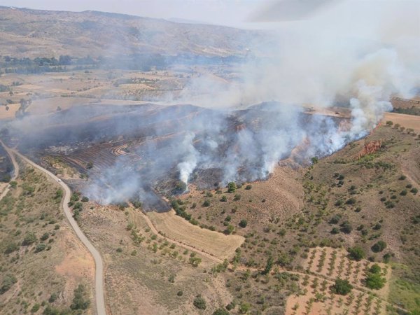 Declarado un incendio en una zona agrícola y forestal de Daroca (Zaragoza)