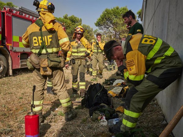 Greenpeace pide aprobar ya el Real Decreto para establecer criterios comunes en los planes de prevención de incendios