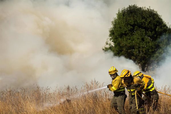 Castilla y León tiene 11 incendios activos, cinco de gravedad dos y cuatro que llegan al nivel 1